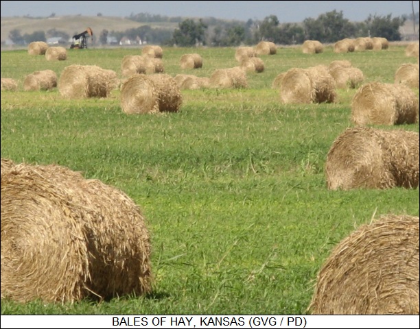 bales of hay, Kansas