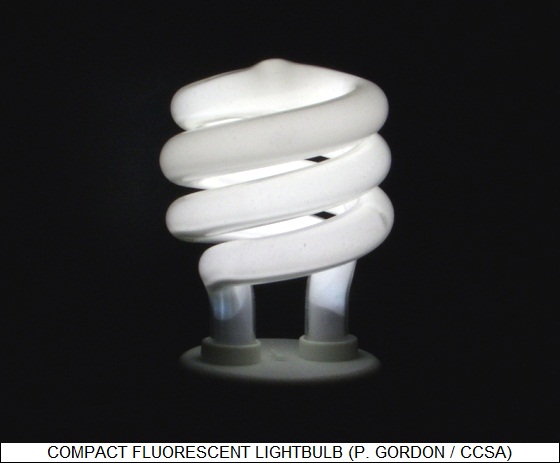 compact fluorescent lightbulb