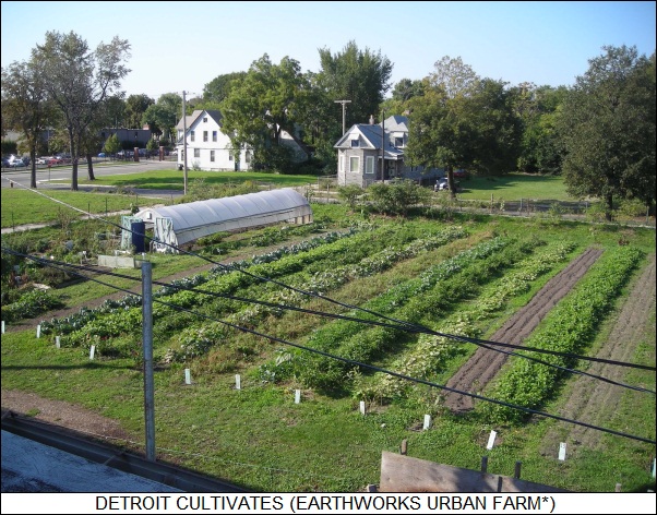 Detroit urban farm