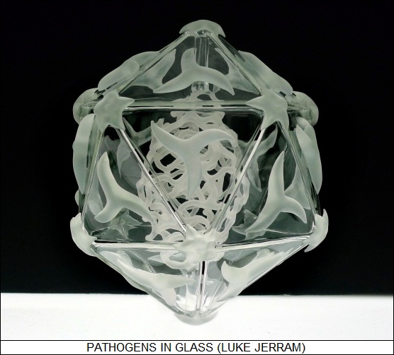 pathogens in glass