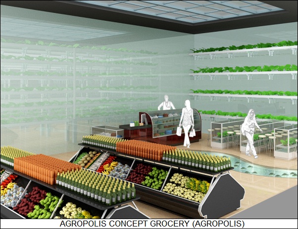 AgroPolis concept grocery