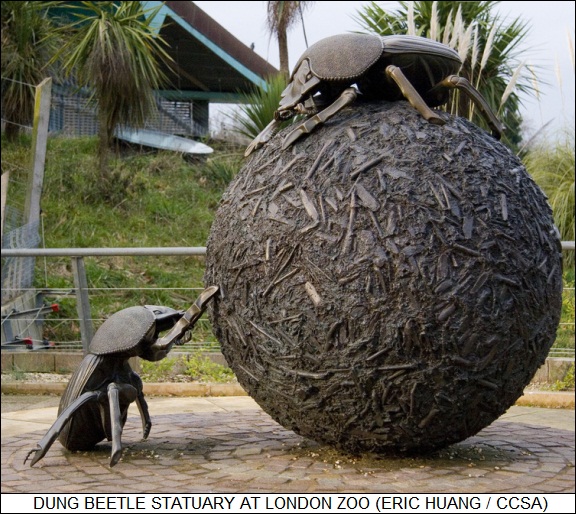dung beetle statuary