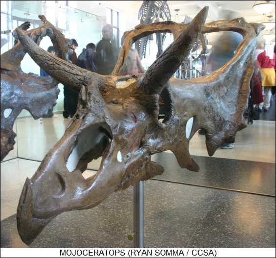 mojoceratops