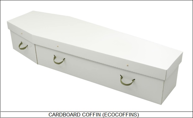 cardboard coffin