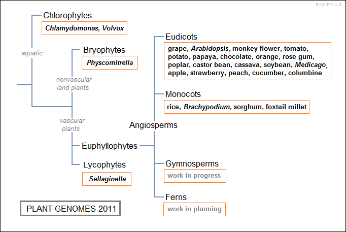 plant genomes 2011