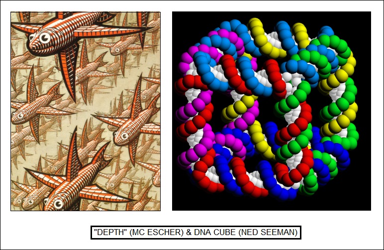 DEPTH & DNA cubes