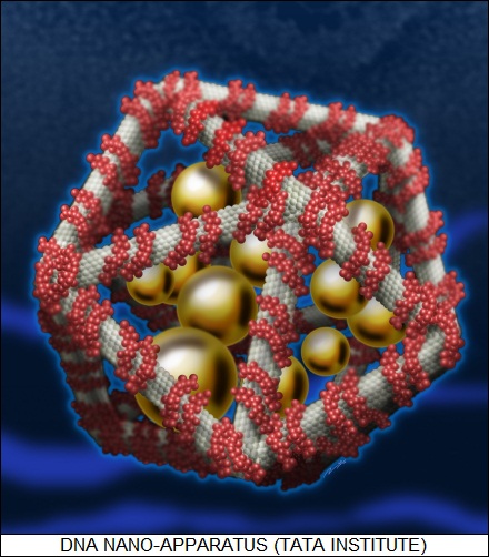 DNA nanomachine