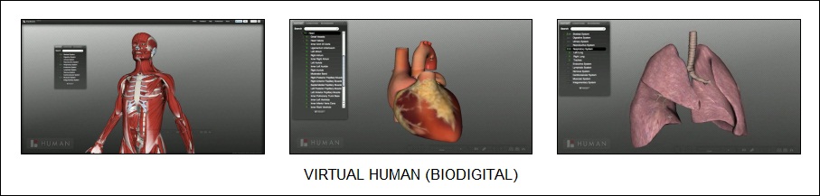 BioDigital virtual human