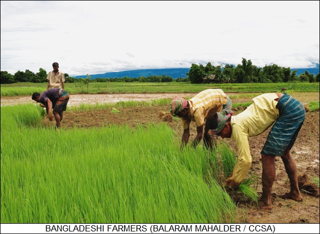 Bangladeshi farmers