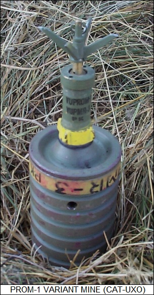 PROM-1 variant mine
