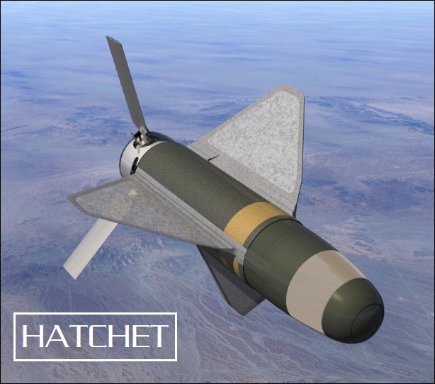 Hatchet smart bomb