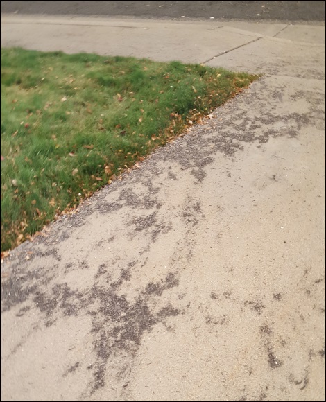 ash on my driveway