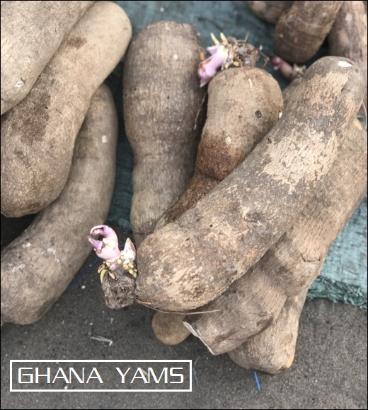 Ghana yams