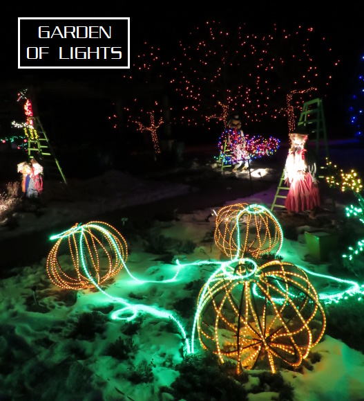 Garden of Lights