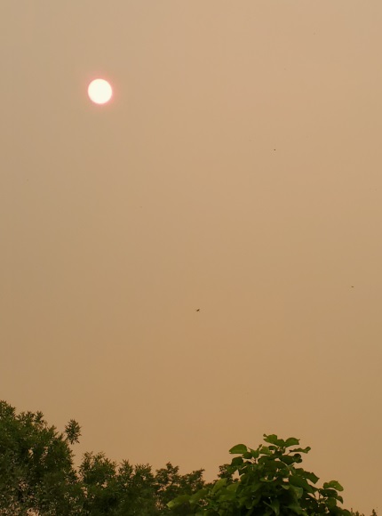 smoke blankets Loveland