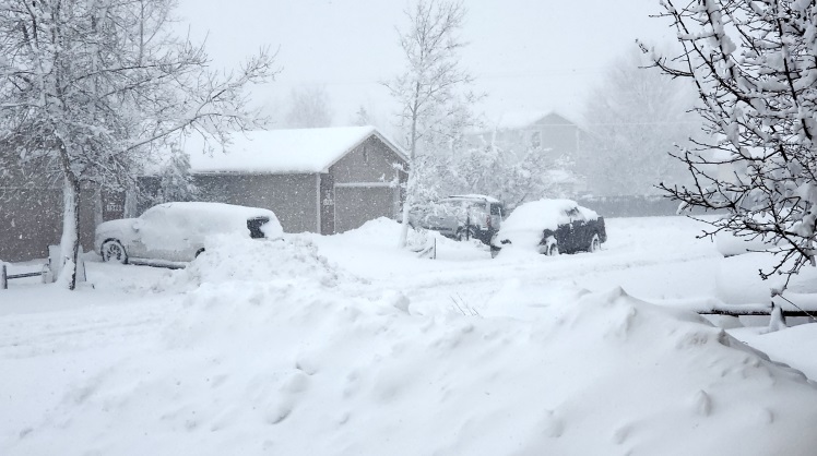 Colorado snow
