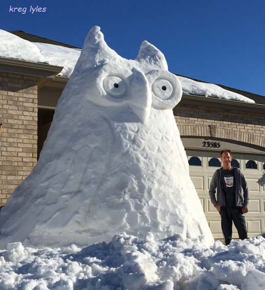 snow owl