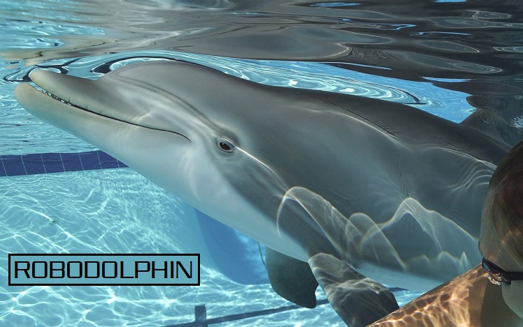 robodolphin
