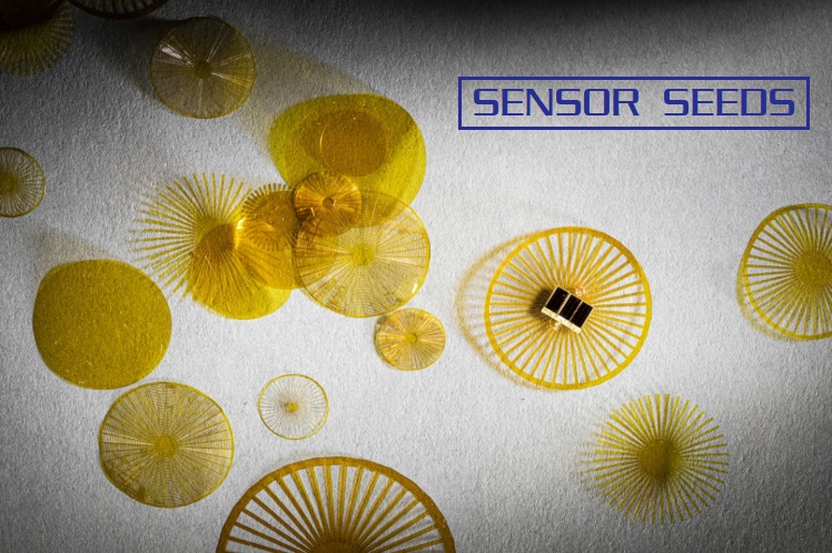 sensor seeds